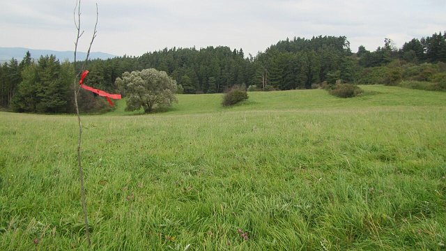 MMTZ_Kezmarok_SK_073.jpg - Mezinárodní mistrovství v Turistickém závodě - Kežmarok - 25.9.2010 (foto: Ĺubomír Havaš)