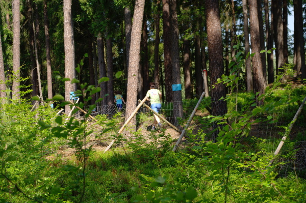 Rapsach_04062011_21.jpg - 3. závod Českého poháru v Rapšachu (4.6.2011)