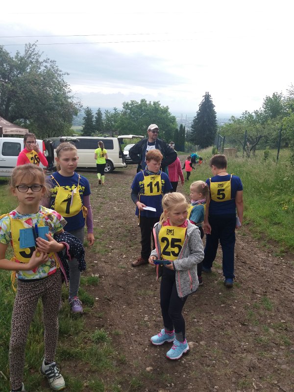 Lovosice_08062020_01.jpg - Mistrovství Ústeckého kraje v Lovosicích (8.6.2020)